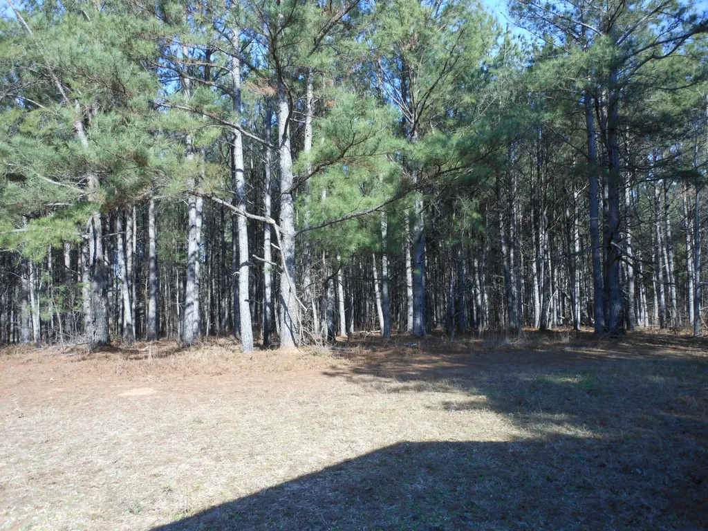0 Ponderosa Road Waynesboro GA 30830