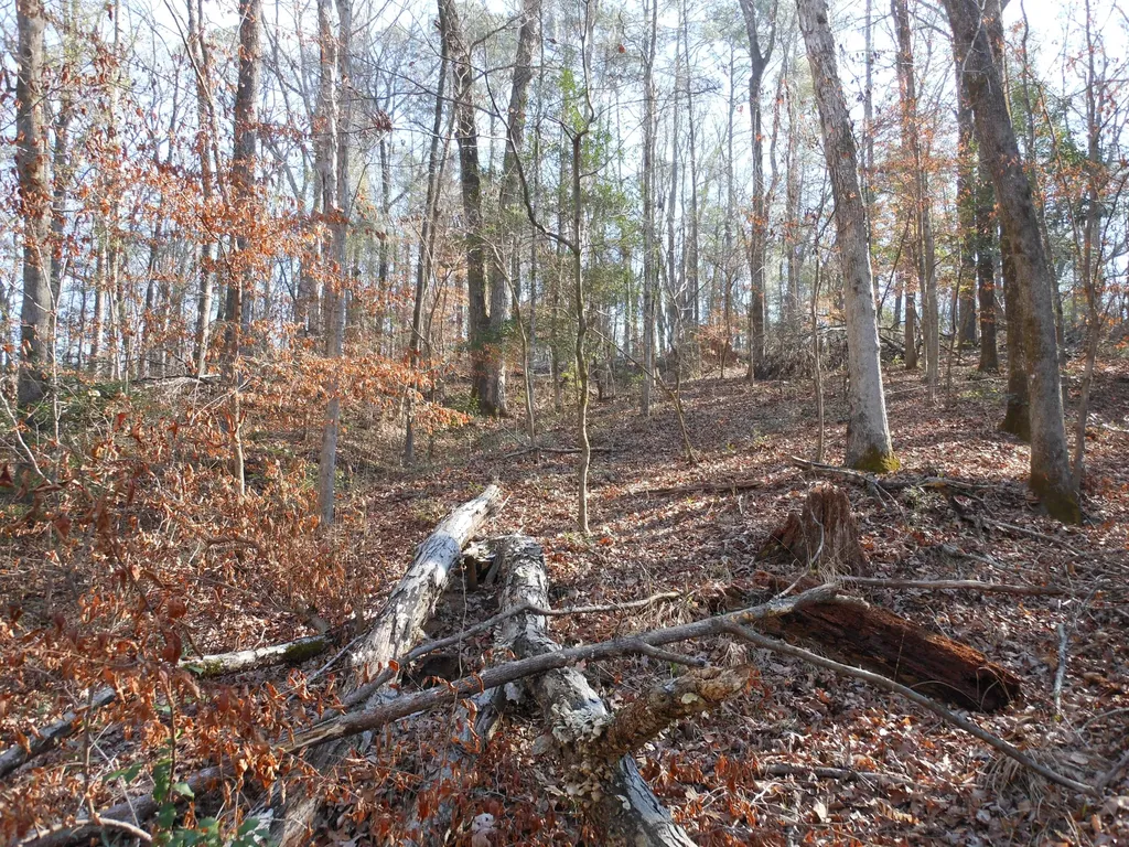 0 Ponderosa Road Waynesboro GA 30830