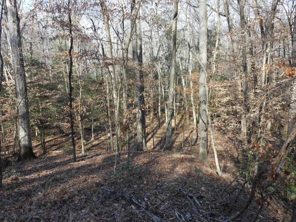 0 Ponderosa Road Waynesboro GA 30830