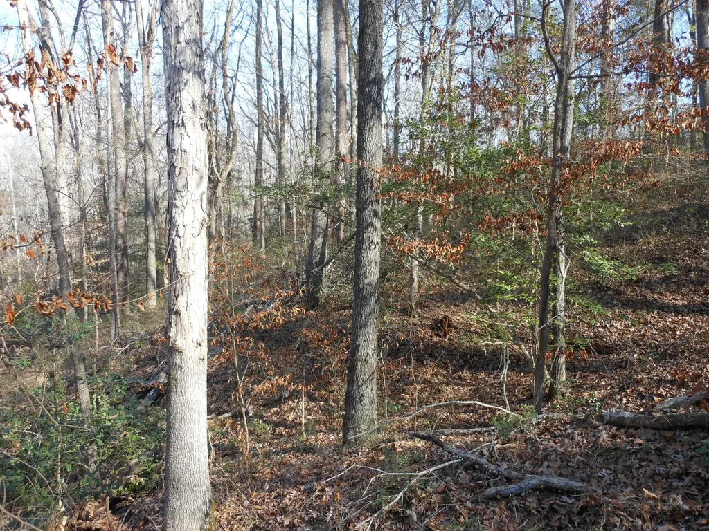 0 Ponderosa Road Waynesboro GA 30830
