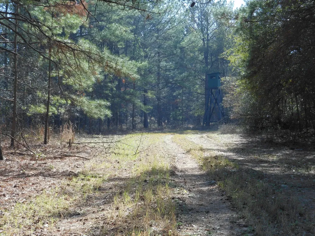 0 Ponderosa Road Waynesboro GA 30830