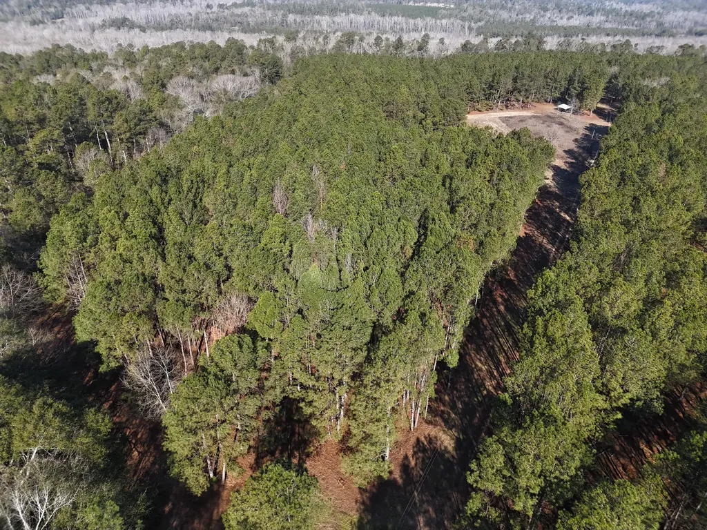0 Ponderosa Road Waynesboro GA 30830