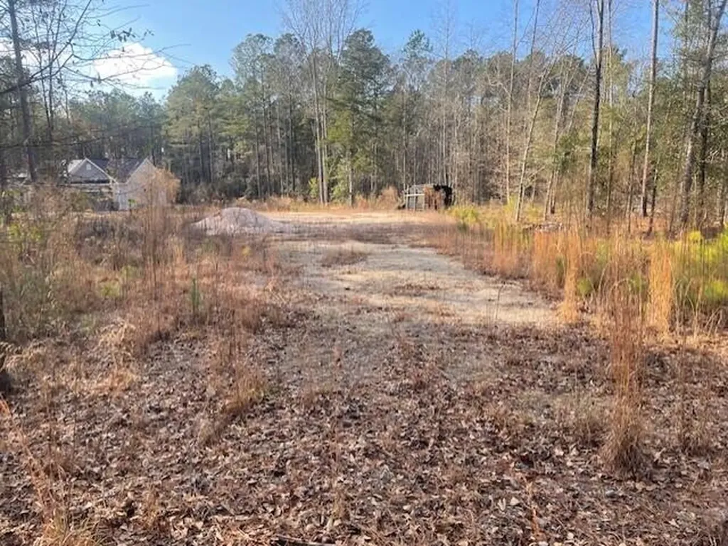 Lot 32 Stapleton Acres Drive Stapleton GA 30823