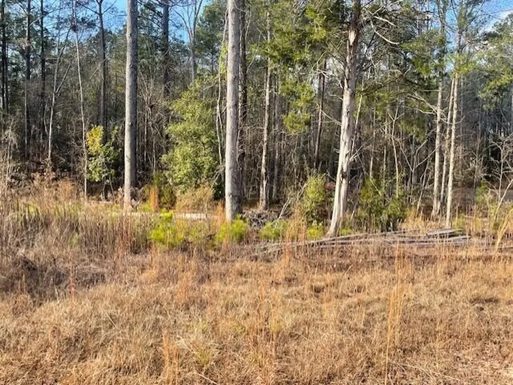 Lot 32 Stapleton Acres Drive Stapleton GA 30823