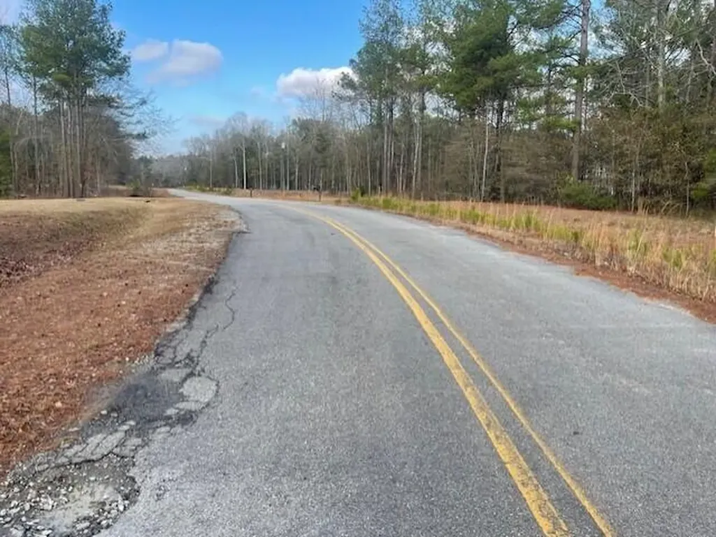 Lot 32 Stapleton Acres Drive Stapleton GA 30823