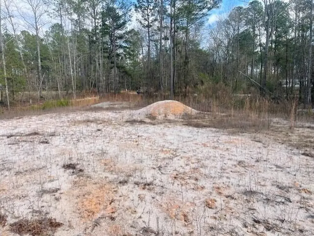 Lot 32 Stapleton Acres Drive Stapleton GA 30823