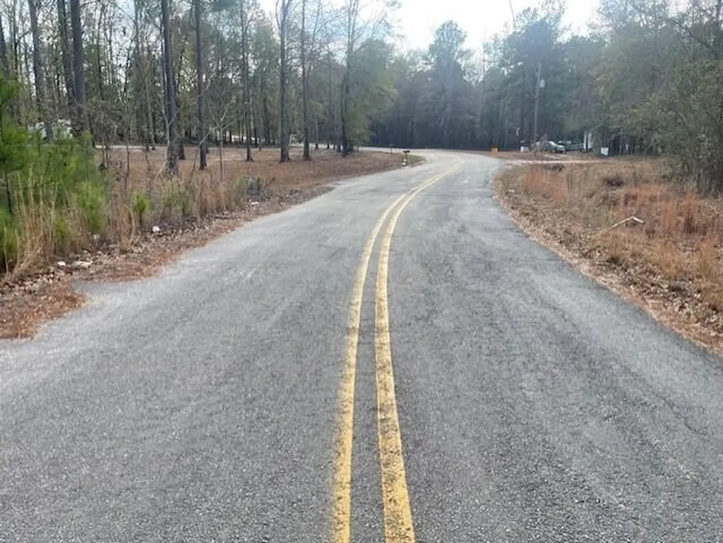Lot 32 Stapleton Acres Drive Stapleton GA 30823