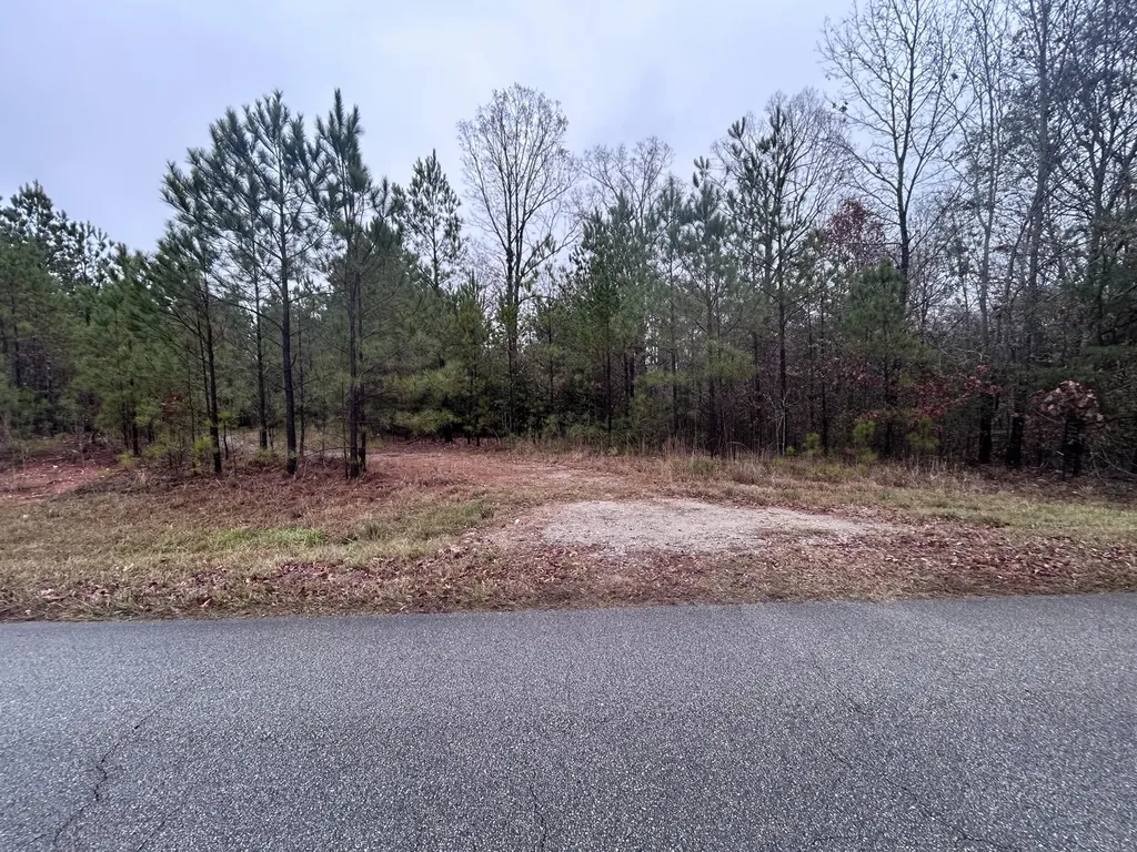 1956 Pineywoods Road Lincolnton GA 30817