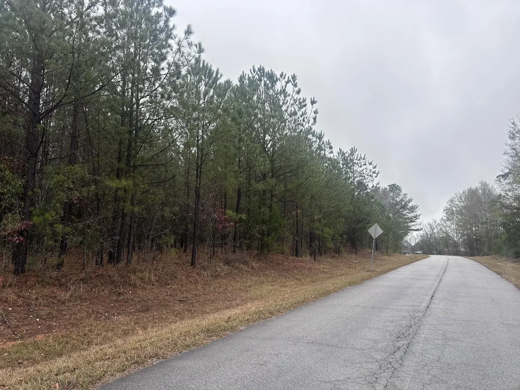 1956 Pineywoods Road Lincolnton GA 30817