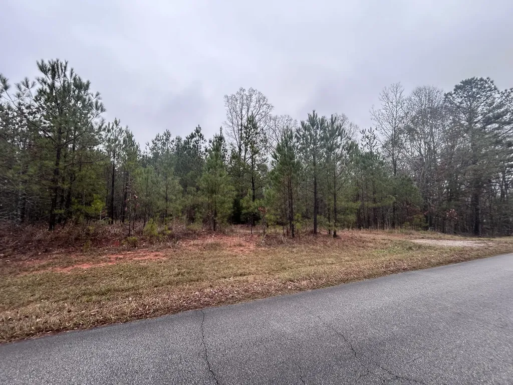 1956 Pineywoods Road Lincolnton GA 30817