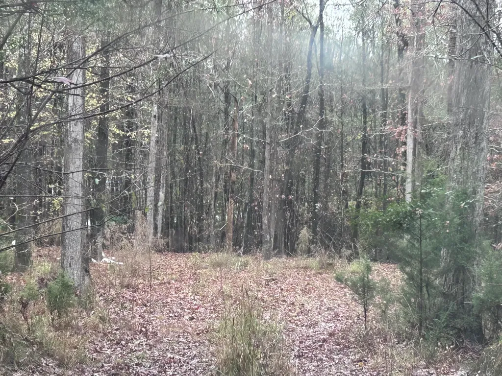 1956 Pineywoods Road Lincolnton GA 30817
