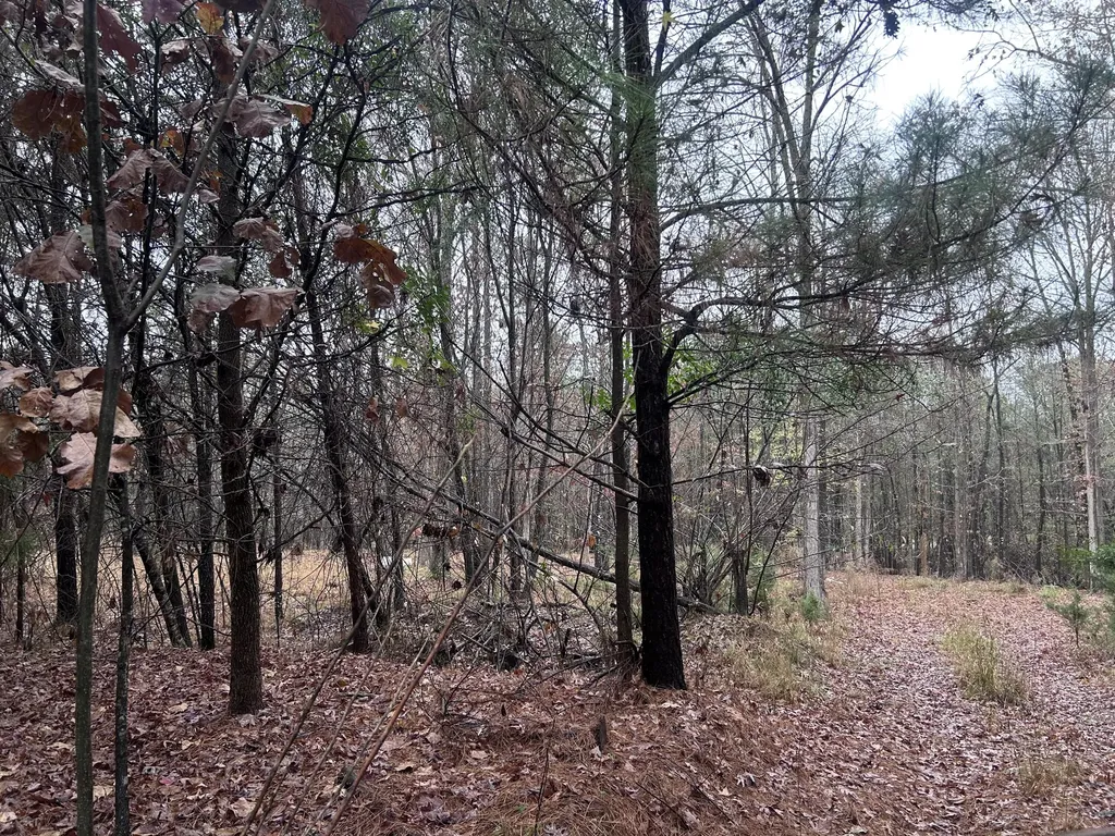 1956 Pineywoods Road Lincolnton GA 30817