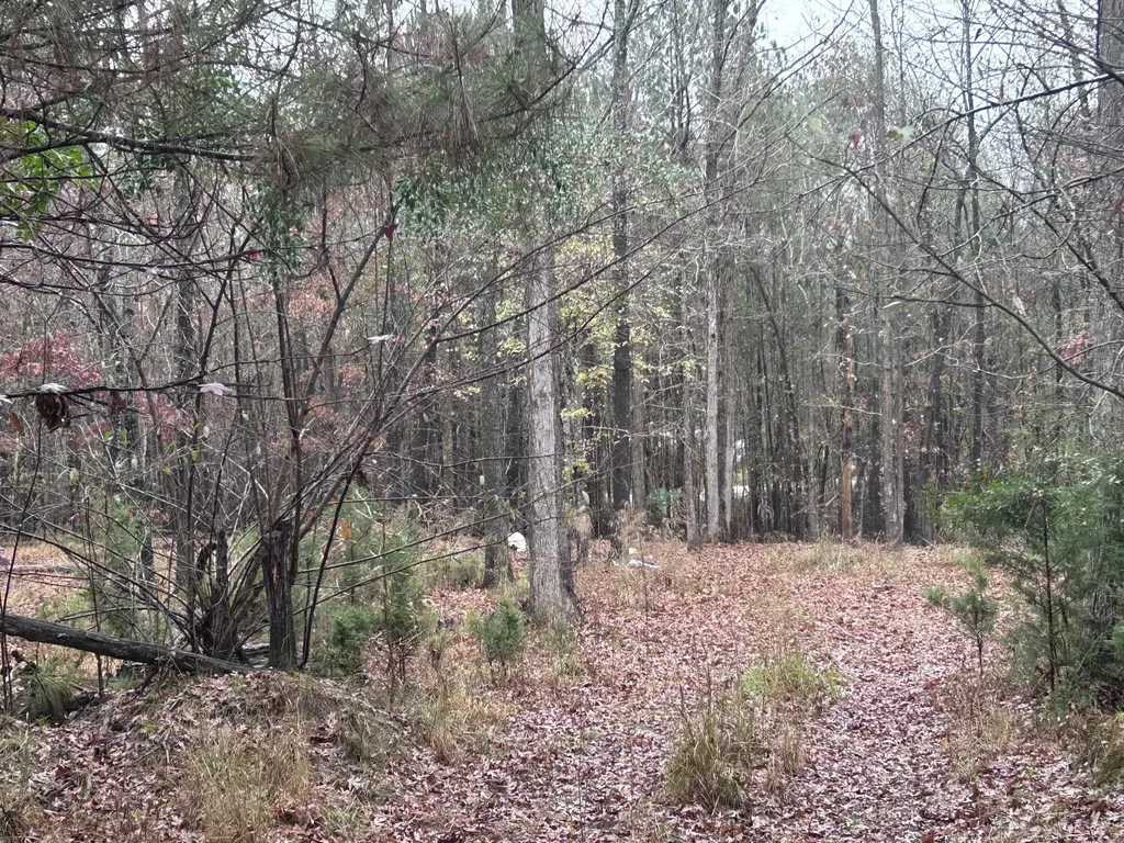 1956 Pineywoods Road Lincolnton GA 30817