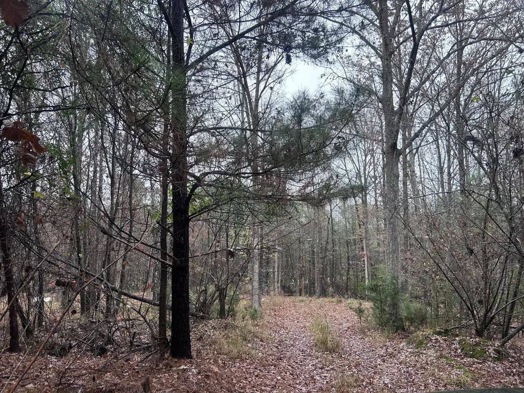 1956 Pineywoods Road Lincolnton GA 30817
