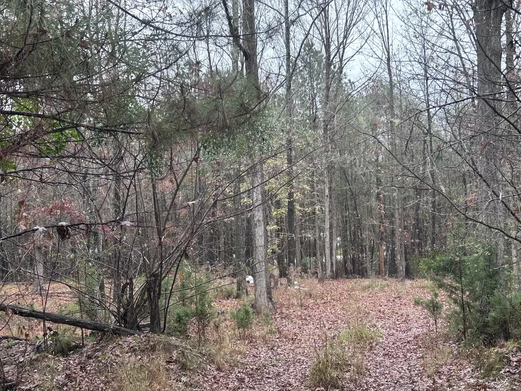 1956 Pineywoods Road Lincolnton GA 30817