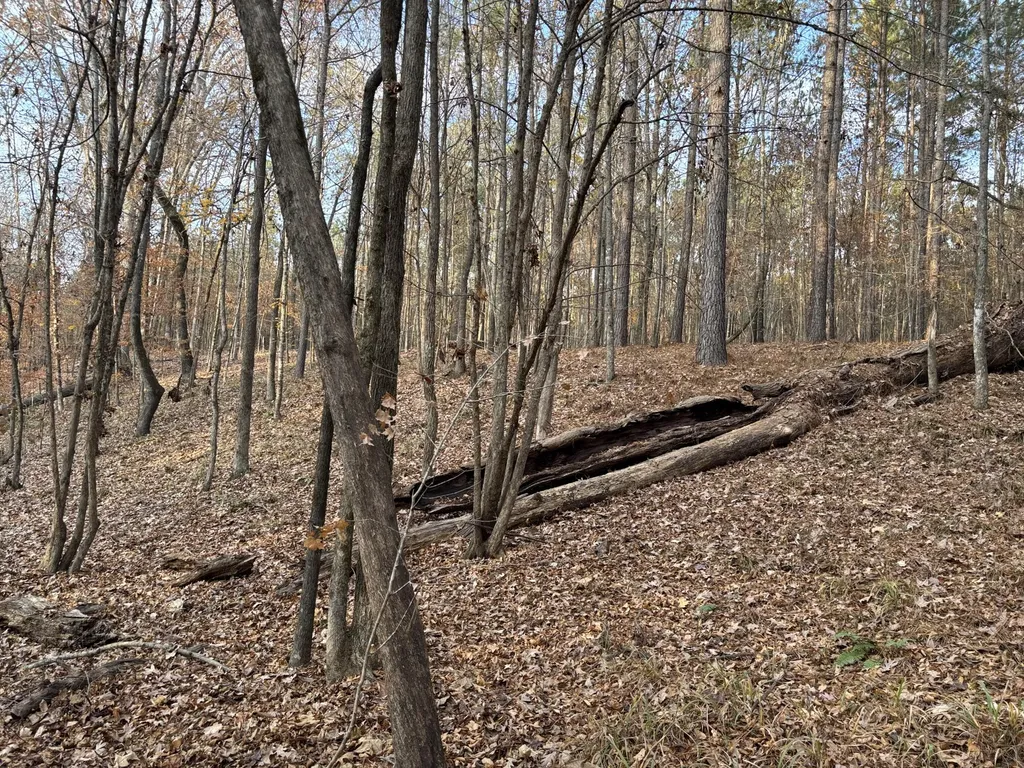 Lot 51 Willow Way Lincolnton GA 30817