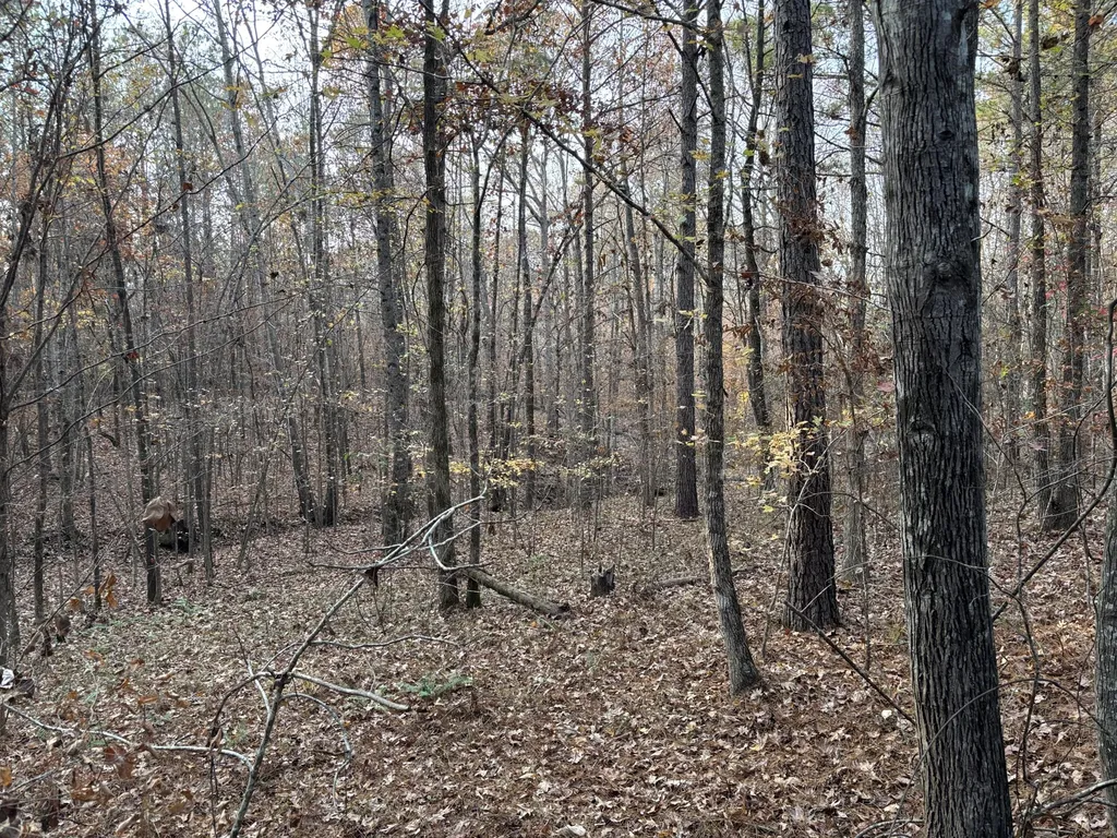 Lot 51 Willow Way Lincolnton GA 30817