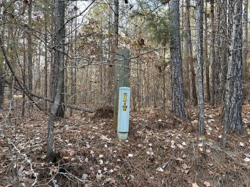 Lot 51 Willow Way Lincolnton GA 30817