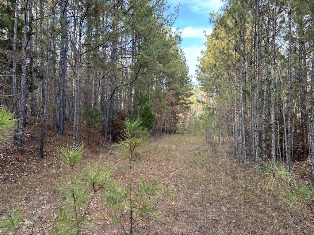 Lot 51 Willow Way Lincolnton GA 30817