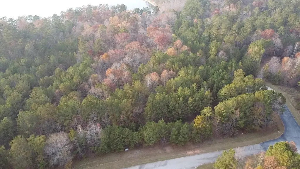 Lot 51 Willow Way Lincolnton GA 30817