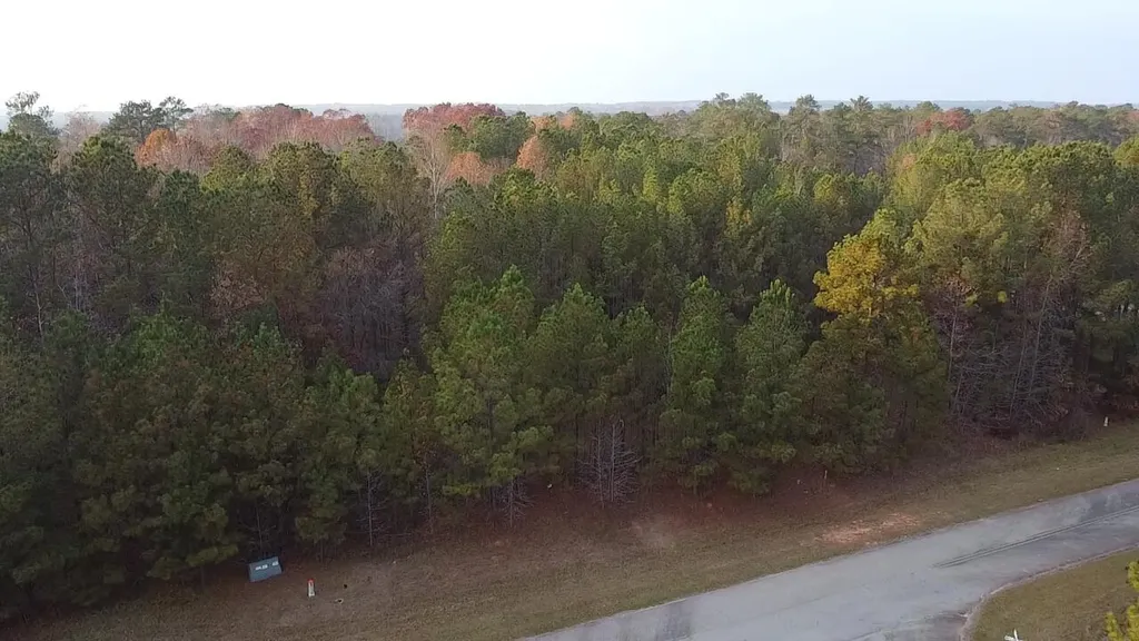 Lot 51 Willow Way Lincolnton GA 30817