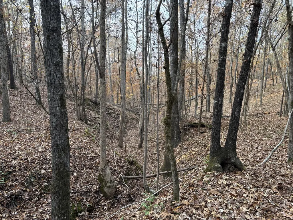 Lot 51 Willow Way Lincolnton GA 30817