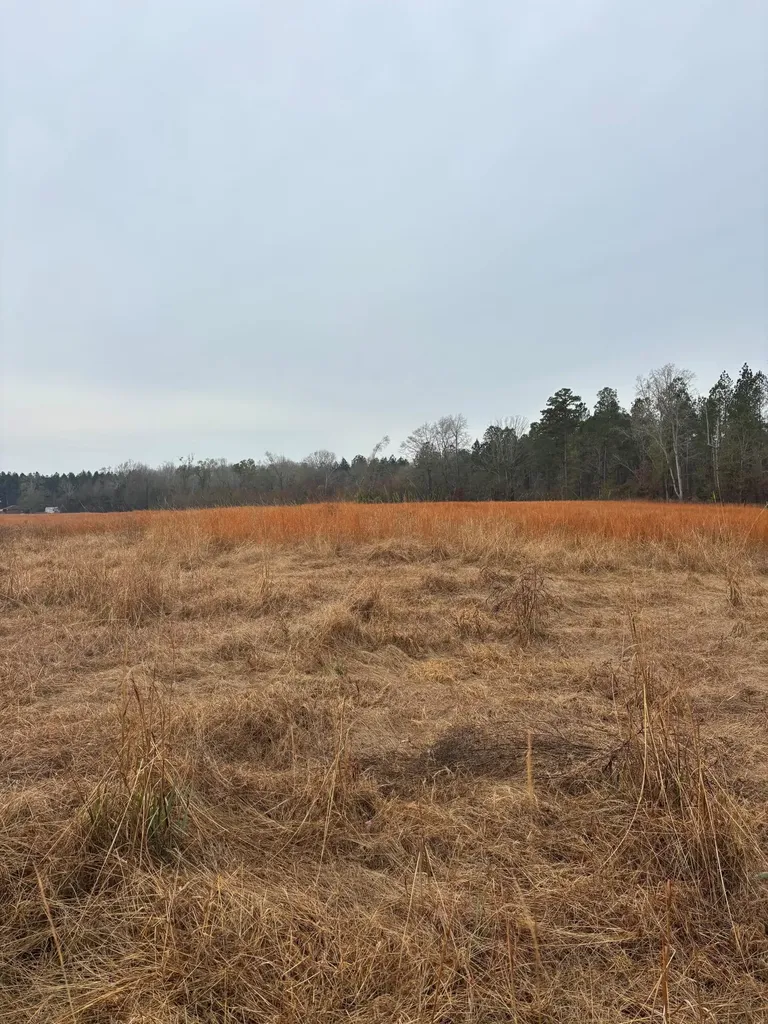 3959 Cadley Road Norwood GA 30821