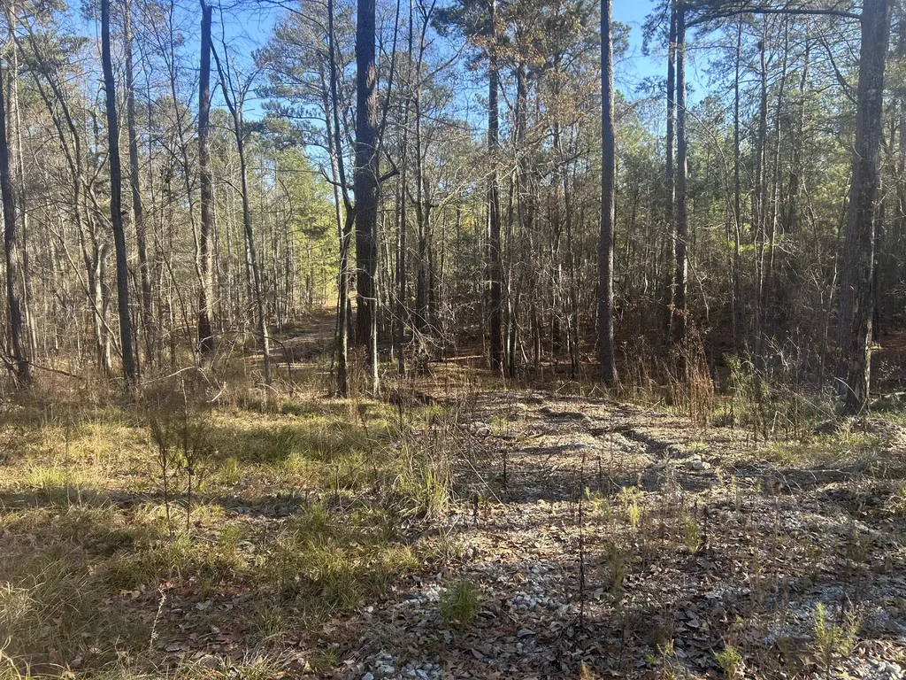 9.01 Hwy 220 E Lincolnton GA 30817