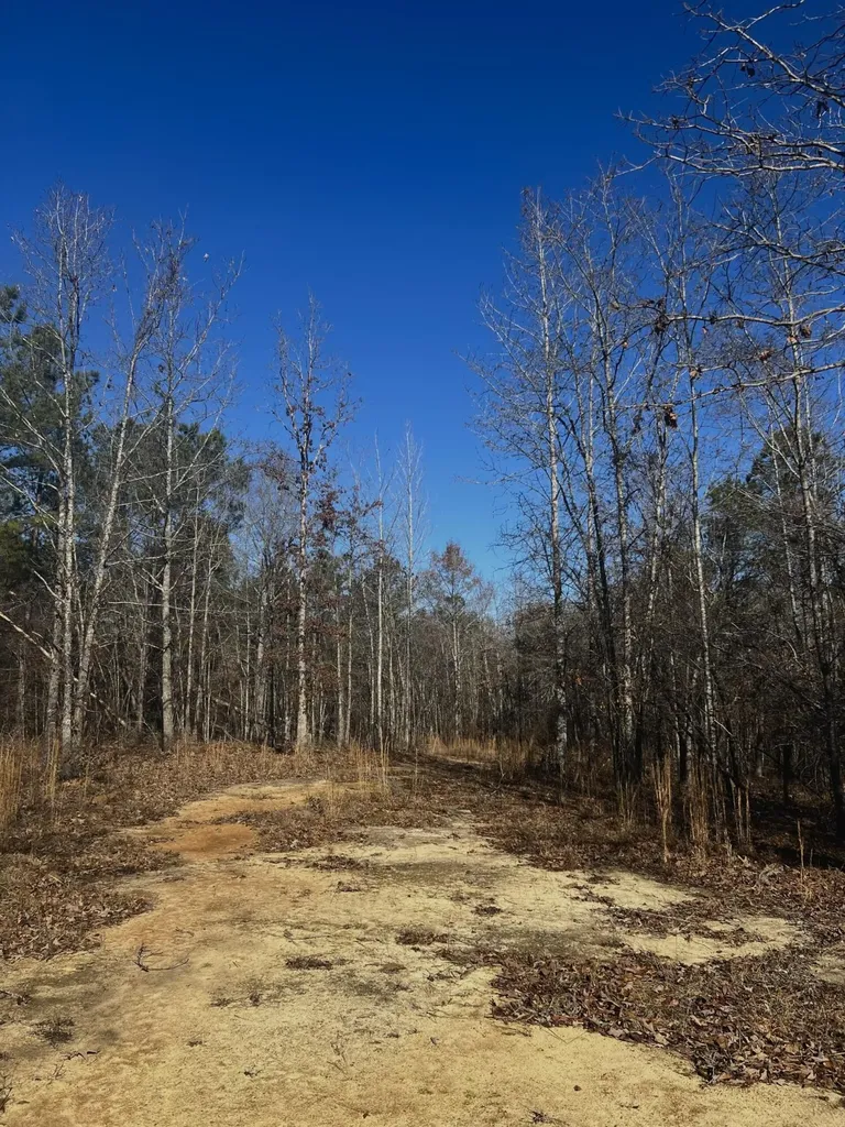 6975 Highway 80 Keysville GA 30816