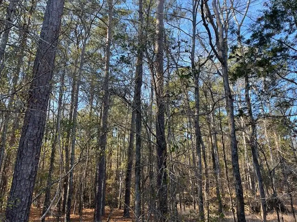 3015 Timber Woods Drive Appling GA 30802