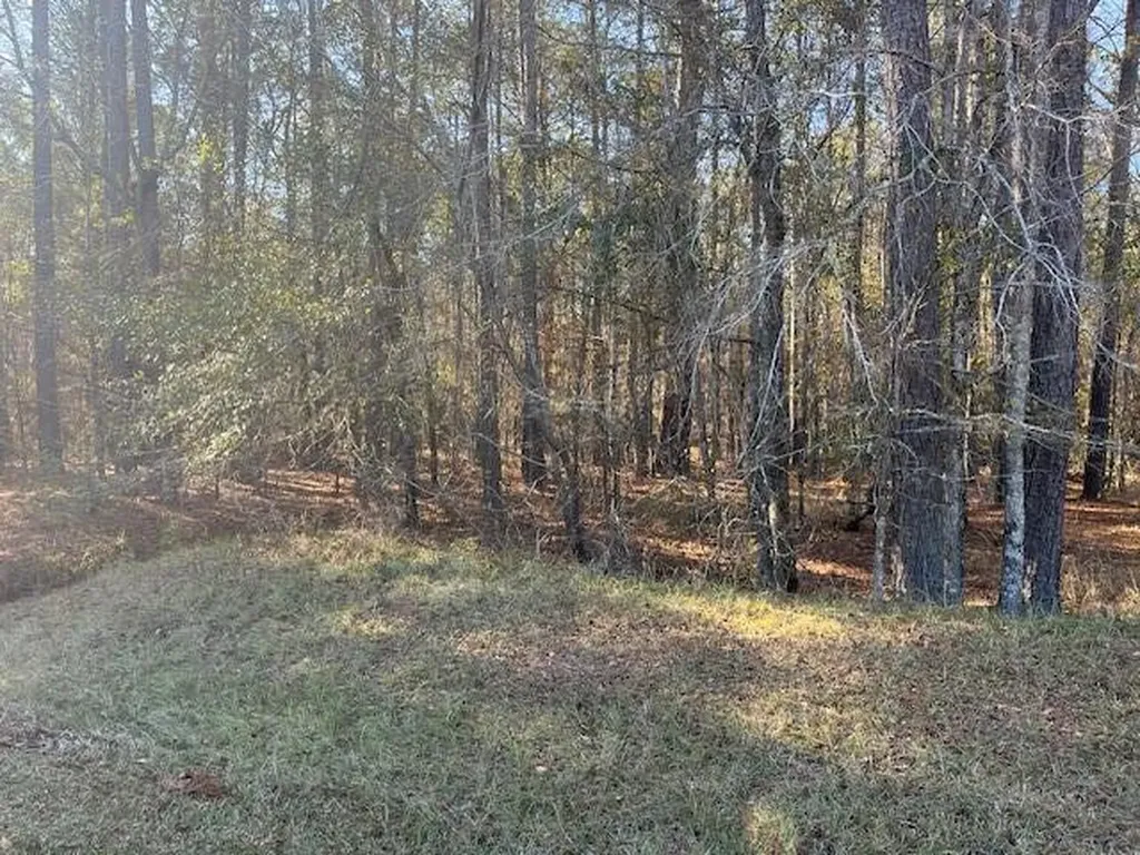 3015 Timber Woods Drive Appling GA 30802