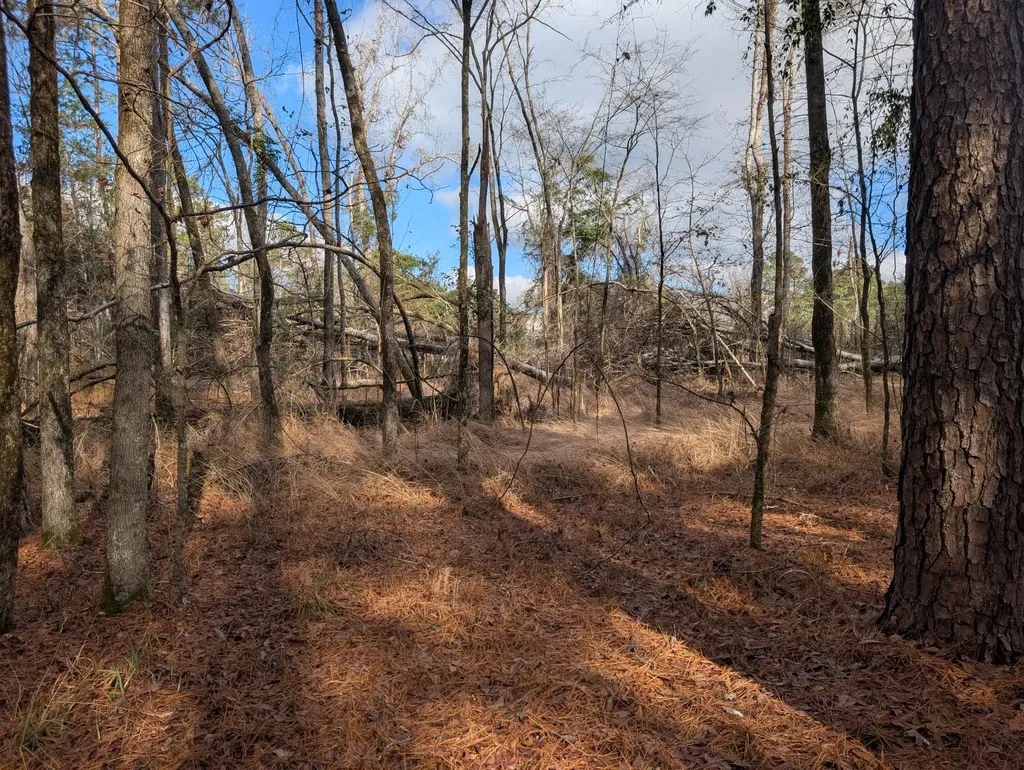 3015 Timber Woods Drive Appling GA 30802