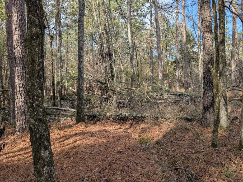 3015 Timber Woods Drive Appling GA 30802