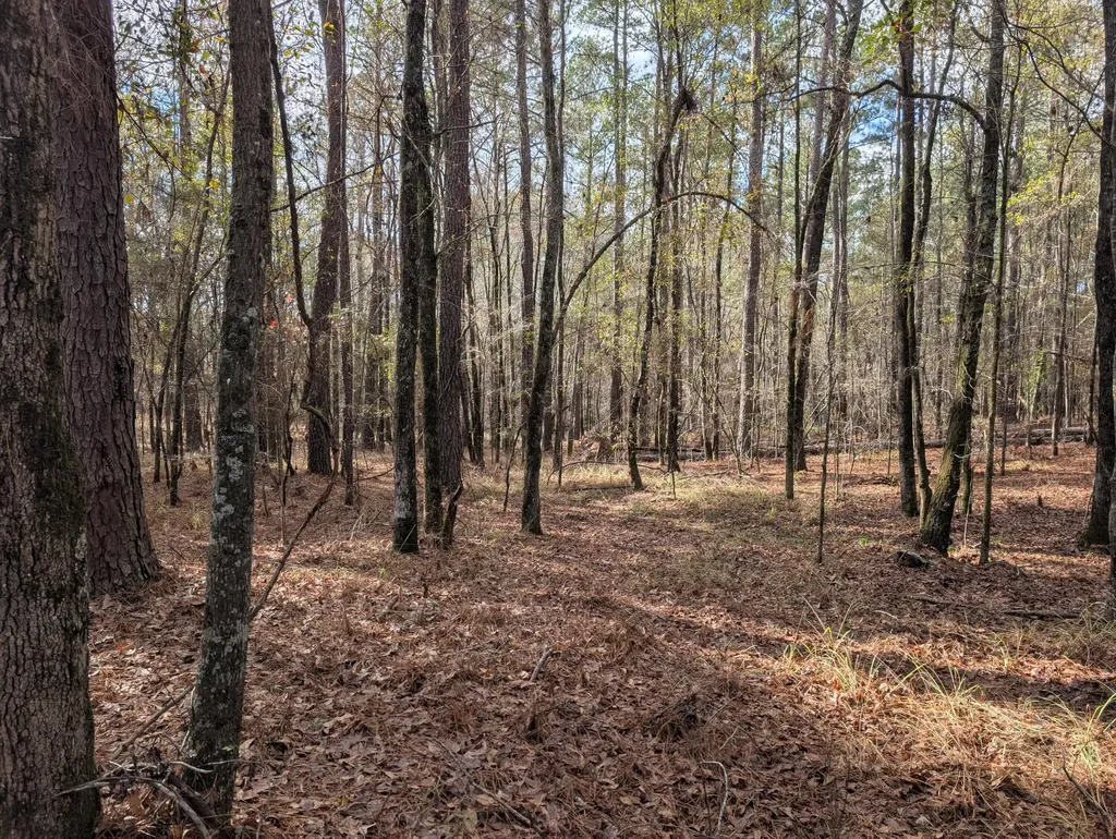 3015 Timber Woods Drive Appling GA 30802