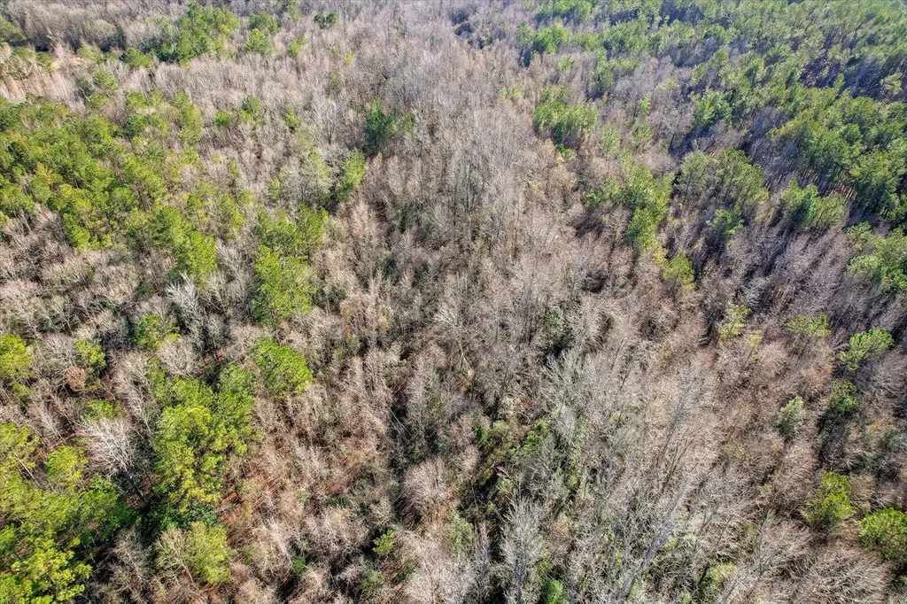0 Wrens Highway Thomson GA 30824