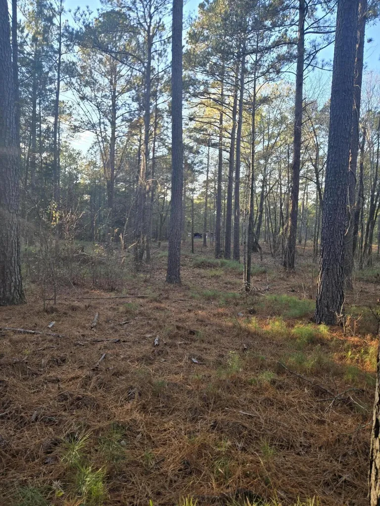 0 Pineridge Drive Lincolnton GA 30817