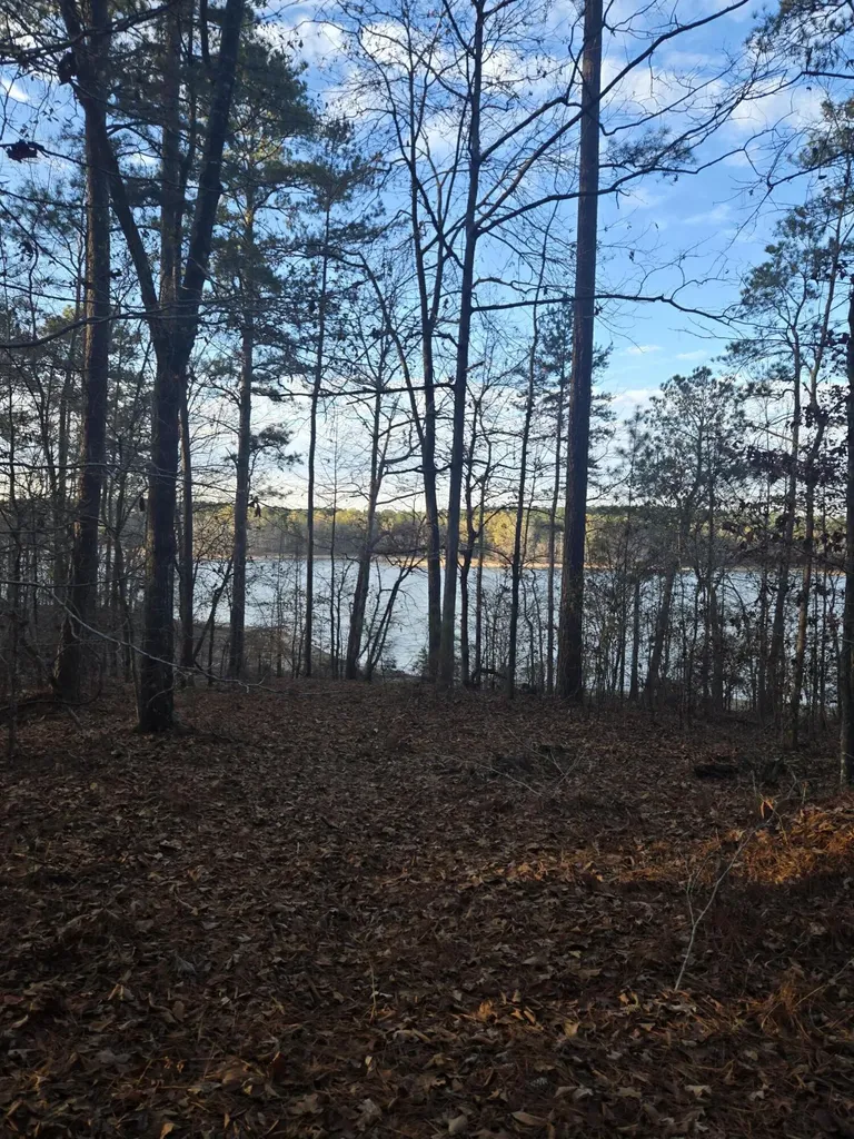 0 Pineridge Drive Lincolnton GA 30817