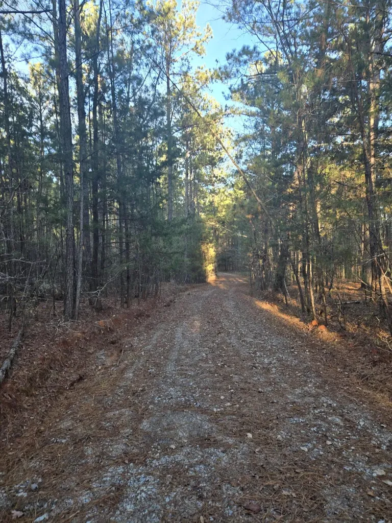 0 Pineridge Drive Lincolnton GA 30817