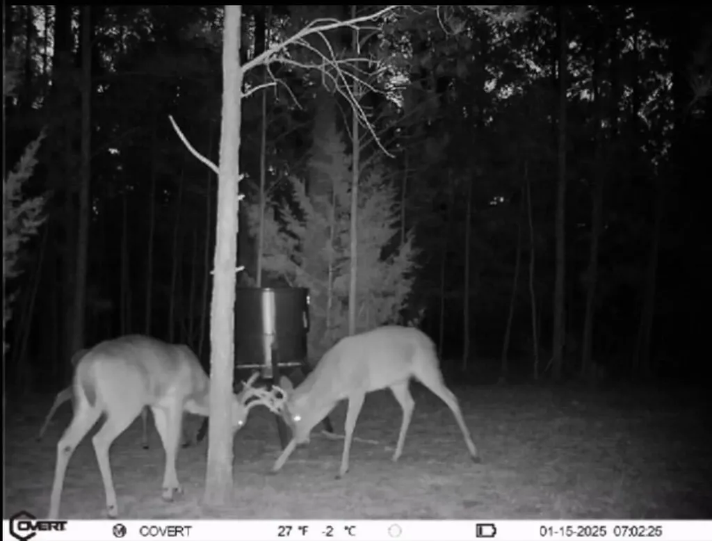 0 Pineridge Drive Lincolnton GA 30817