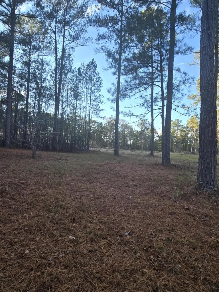 0 Pineridge Drive Lincolnton GA 30817
