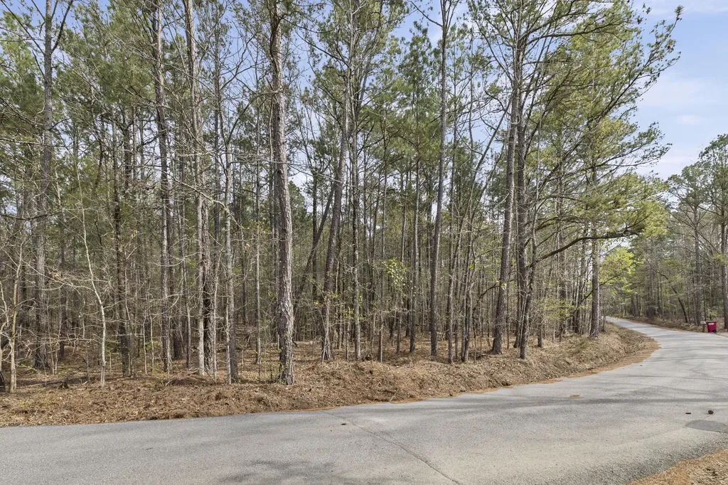 0 Lbk Circle Tignall GA 30668
