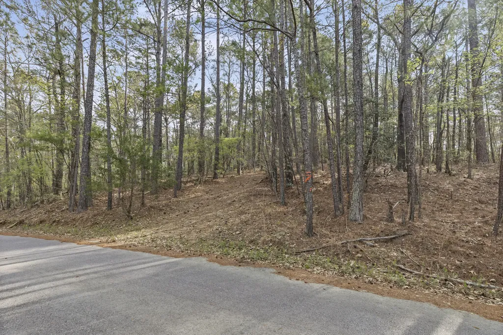 0 Lbk Circle Tignall GA 30668