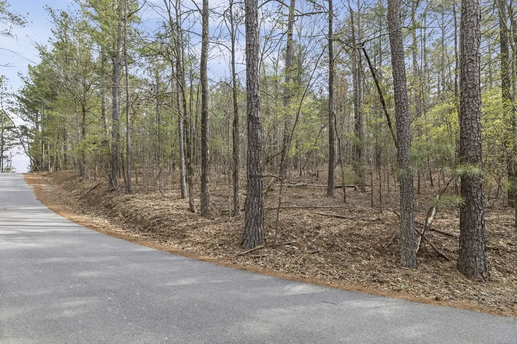 0 Lbk Circle Tignall GA 30668