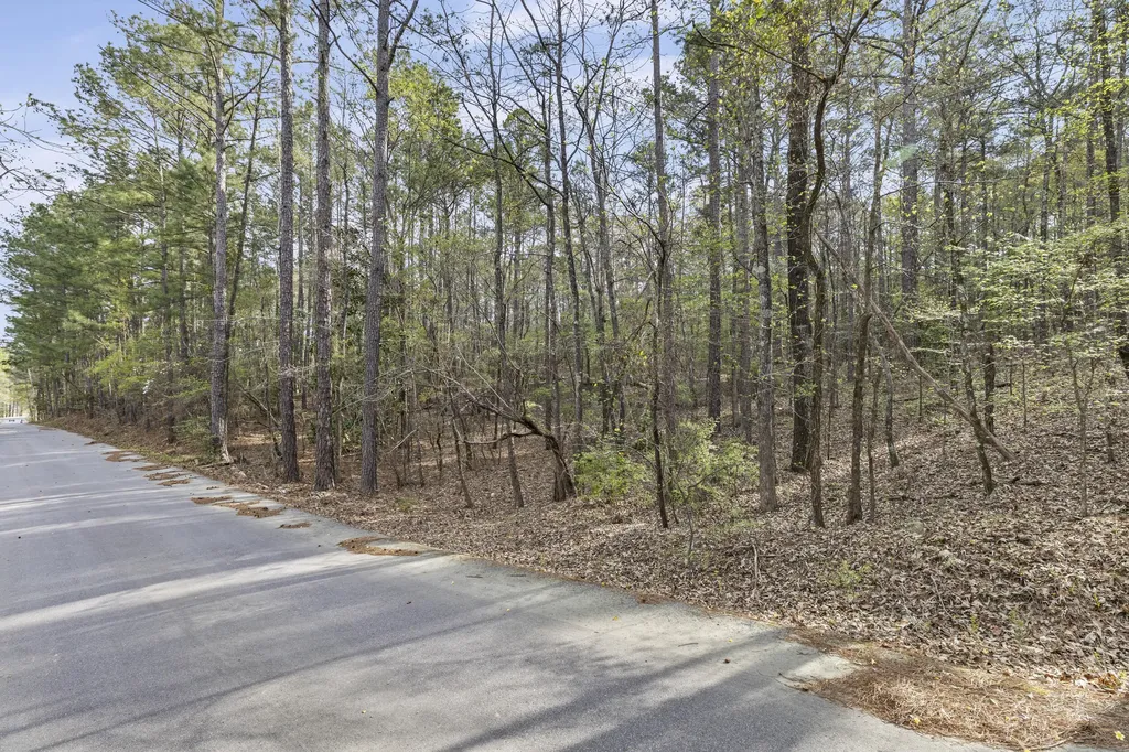 0 Lbk Circle Tignall GA 30668
