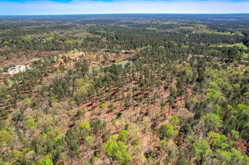 6355 Cobbham Road Appling GA 30802