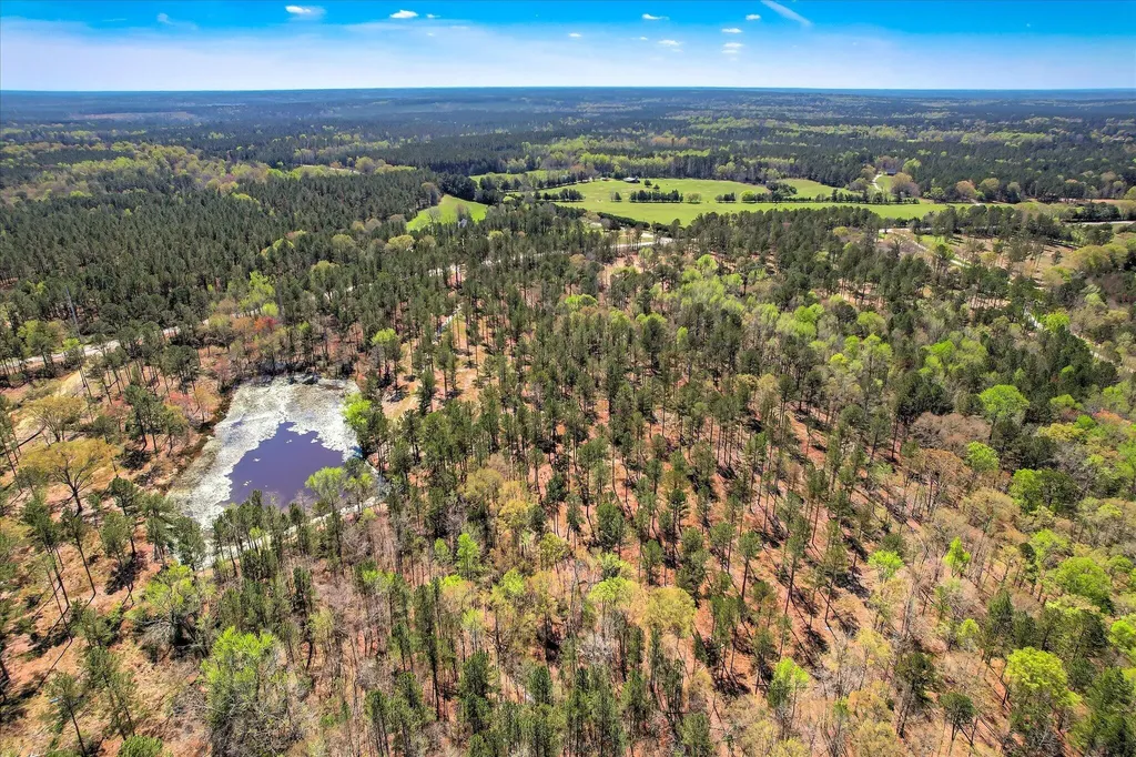 6355 Cobbham Road Appling GA 30802