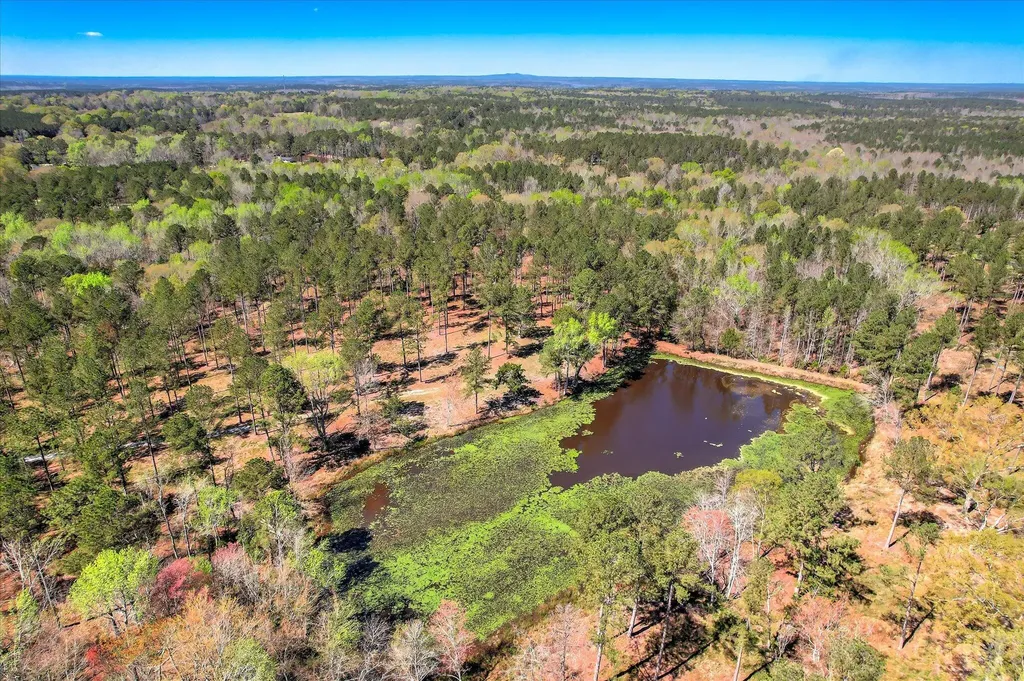 6355 Cobbham Road Appling GA 30802