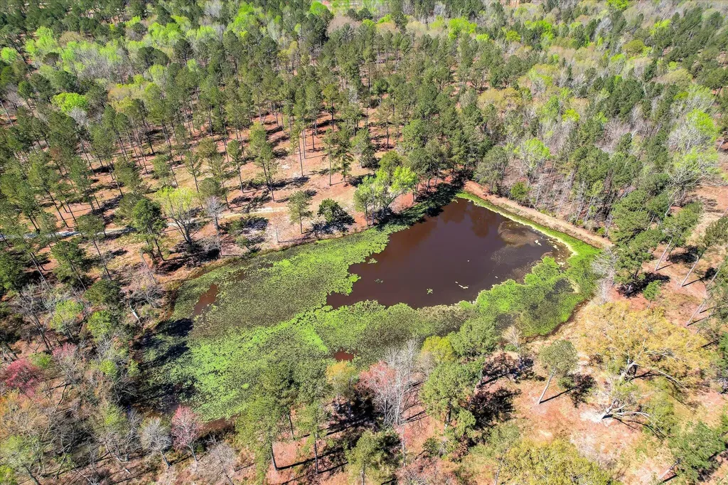 6355 Cobbham Road Appling GA 30802