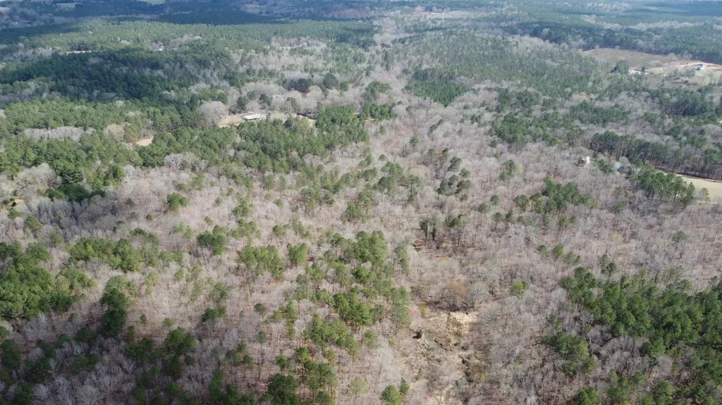 27.2 Ac John Lewis Drive Lincolnton GA 30817
