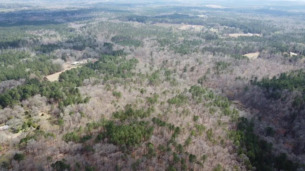 27.2 Ac John Lewis Drive Lincolnton GA 30817